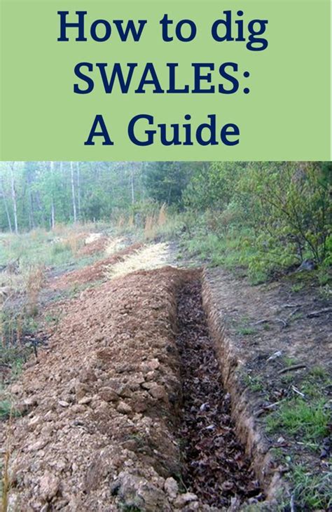 How to Dig Swales: 9 Steps (with Pictures) 